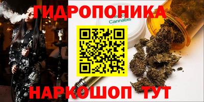 твердый Братск